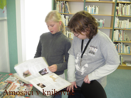 knihovna (19)